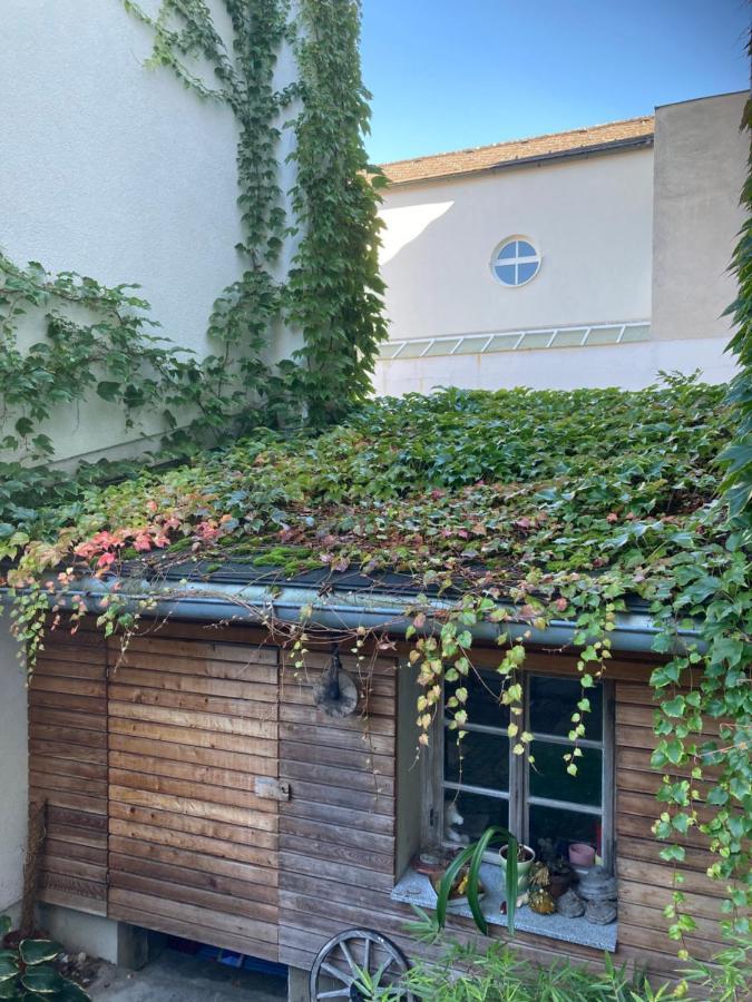 Pension Sunnseitn - Gasthof - Cafe - Weinkeller Haslach an der Muhl Bagian luar foto