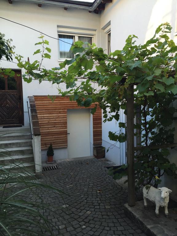 Pension Sunnseitn - Gasthof - Cafe - Weinkeller Haslach an der Muhl Bagian luar foto