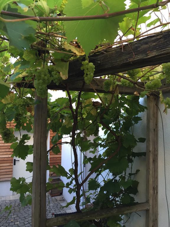 Pension Sunnseitn - Gasthof - Cafe - Weinkeller Haslach an der Muhl Bagian luar foto